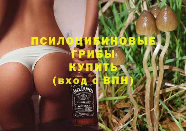 гашик Алзамай