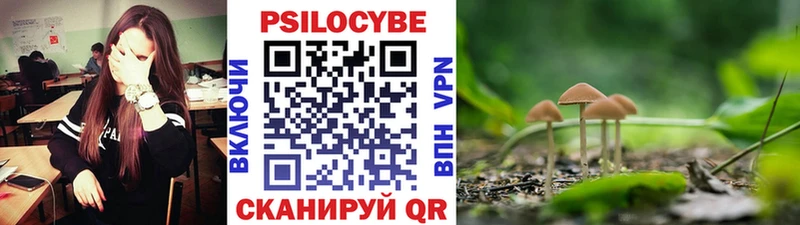 продажа наркотиков  Калачинск  маркетплейс формула  Галлюциногенные грибы MAGIC MUSHROOMS 